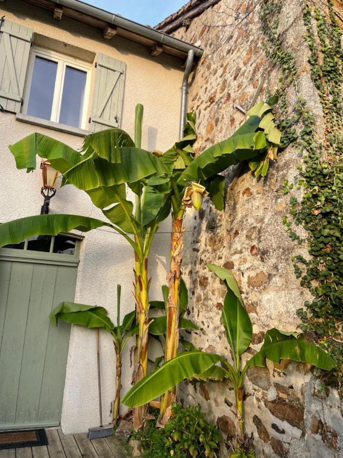 Maison Hirondelles Gites Mezieres-sur-Issoire Екстериор снимка